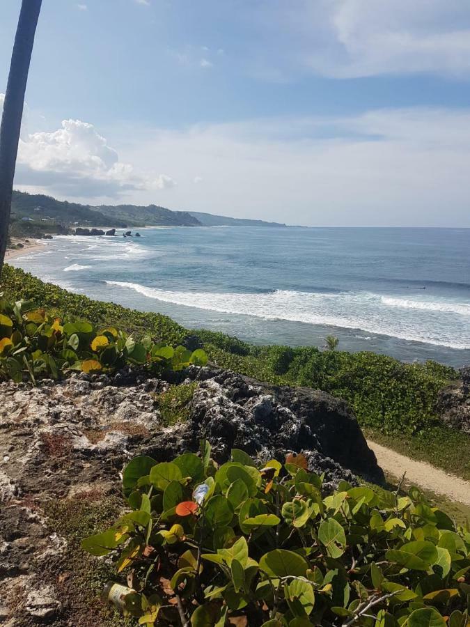 Breezy Apts Saint Philip Esterno foto